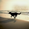 litecure_companion_home_bg01