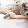 litecure_companion_home_bg04