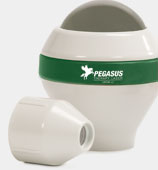 pegasus_heads_thumb