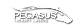Pegasus Therapy Laser