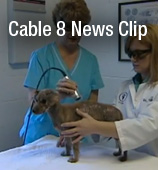 Cable 8 News Clip