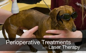 Perioperative Treatments with Laser Therapy_Photo for Blog Post