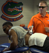gators
