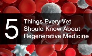 5 Things Every Vet Should Know About Regen_Photo for Blog Post