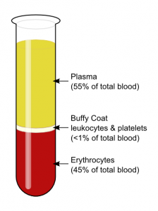 Blood composition