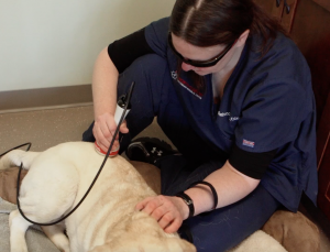 Laser Therapy Treatment_Lab_Hip_Cropped